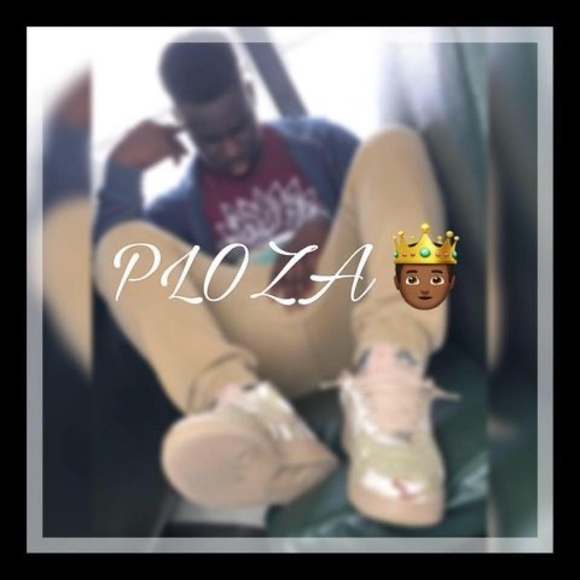 ploza_flex